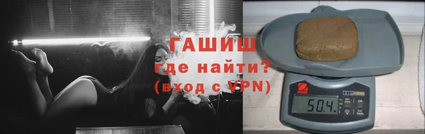гидра Надым